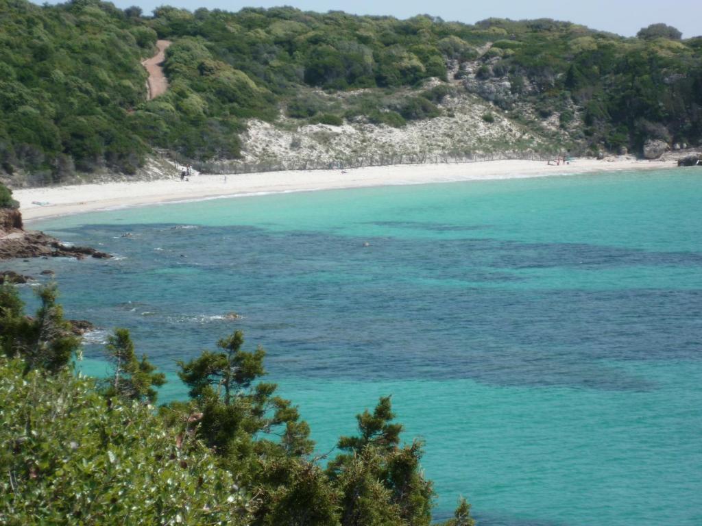 Villa Cartarana photo
