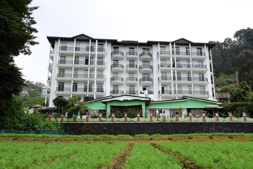 Homewood Luxury Apartment photo
