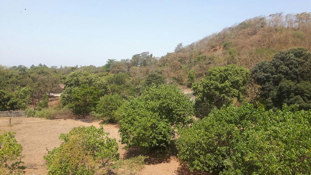 Shreyas Guest house - Tatkare Villa photo