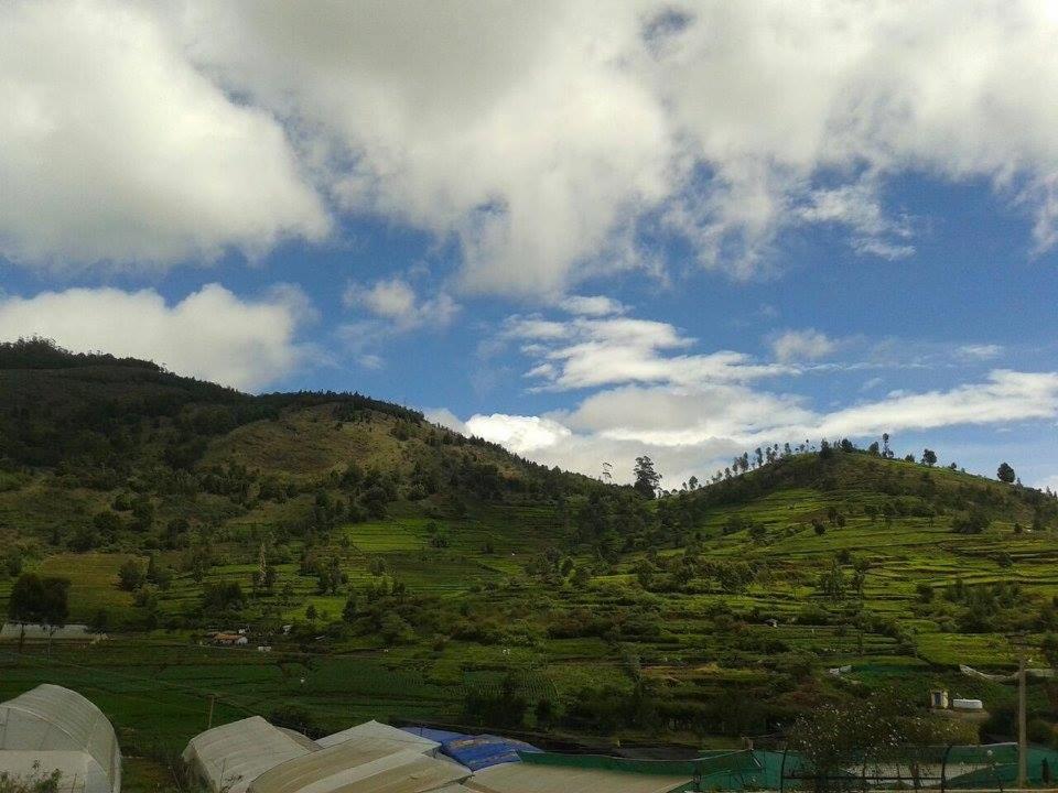 NestCoonoor photo