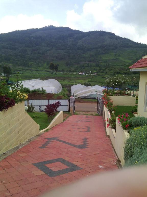 NestCoonoor photo