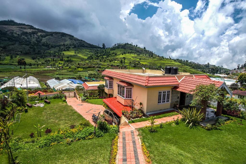 NestCoonoor photo