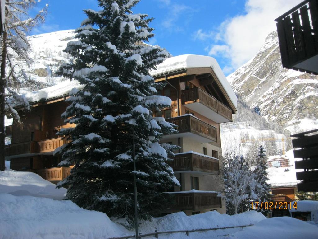 Apartment Balma 3 rooms near Gondelbahn - 3