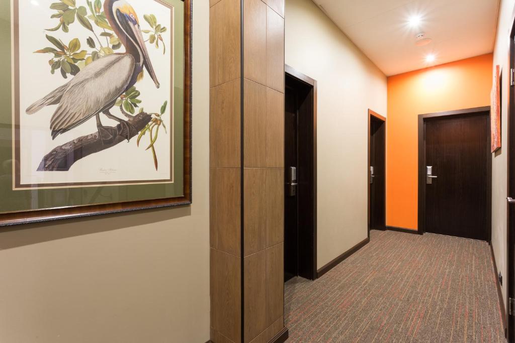 Taganka Hotel photo