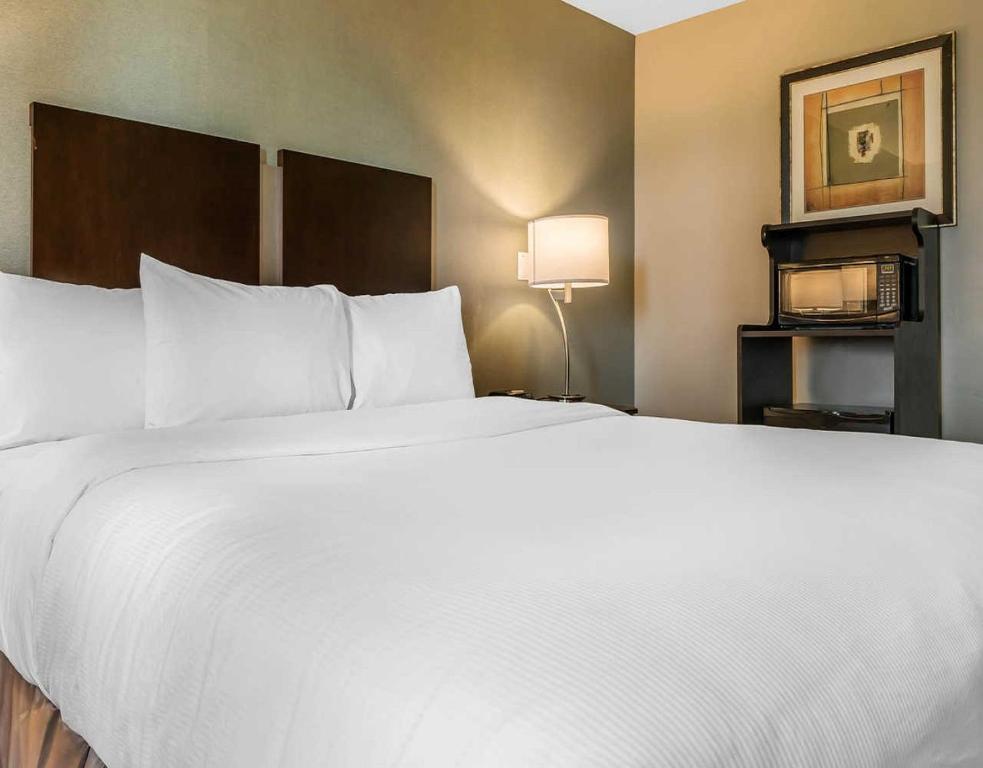 Clarion Inn photo