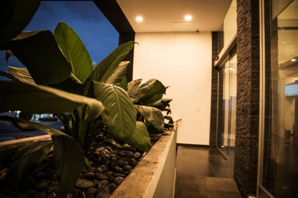 Lithio Hotel photo