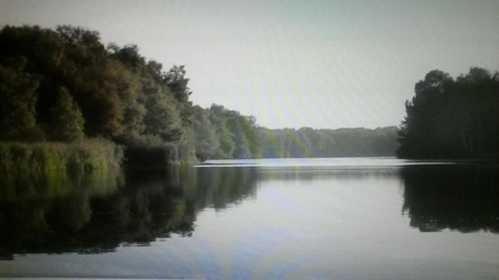 アクティビティ