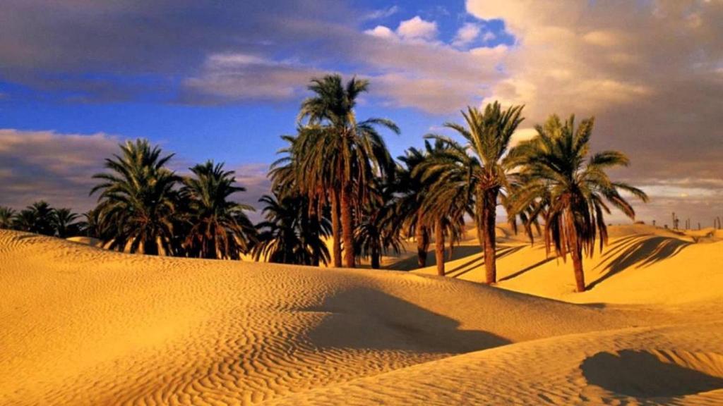 Camp Sahara Holidays photo