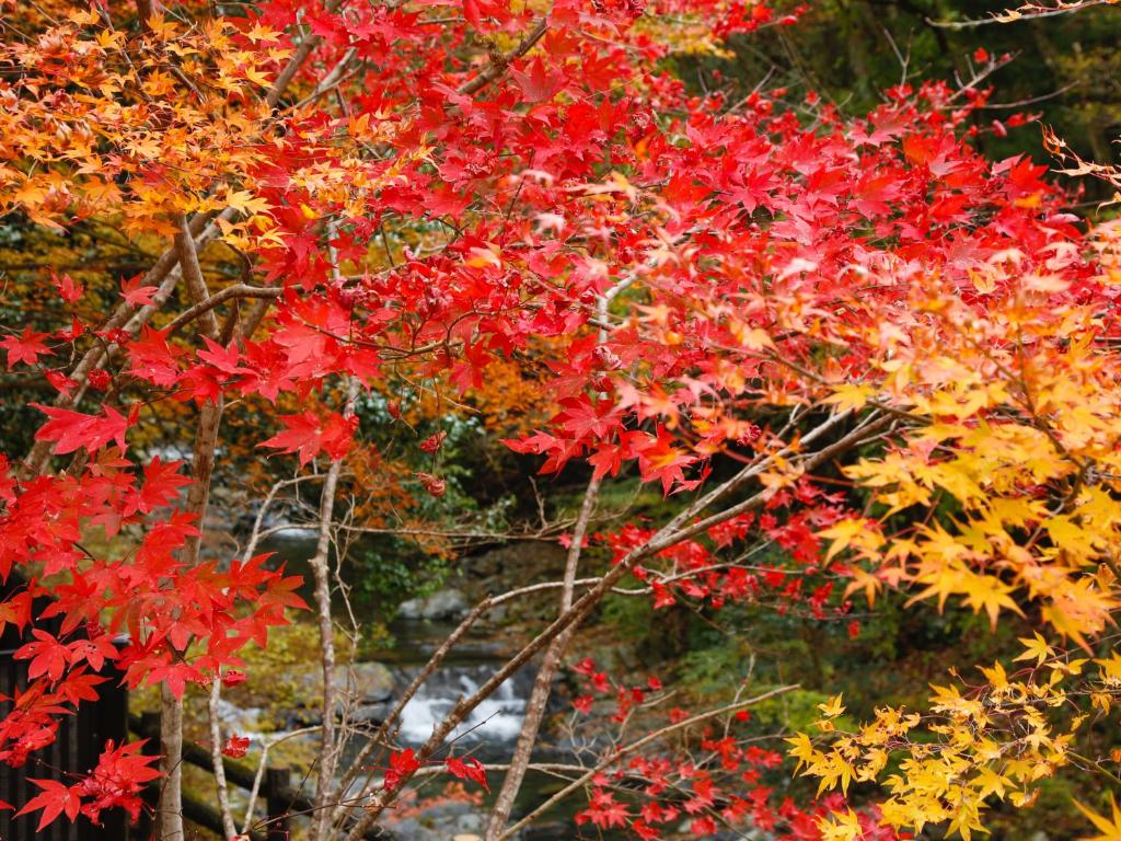 Surrounding environment