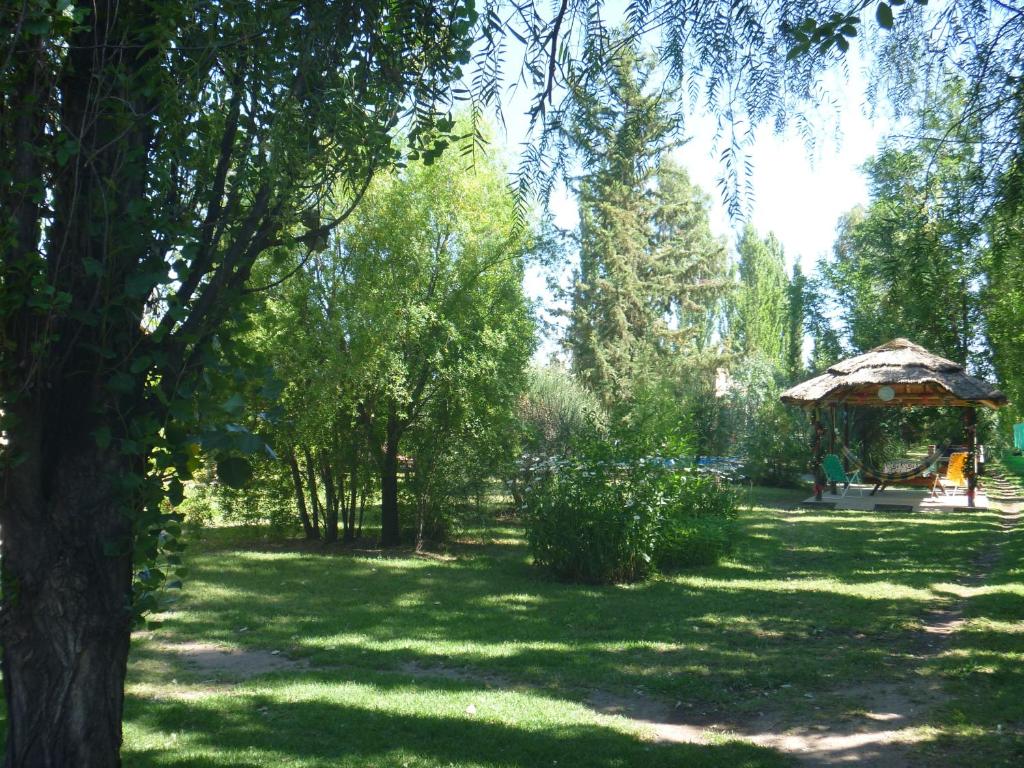 Surrounding environment