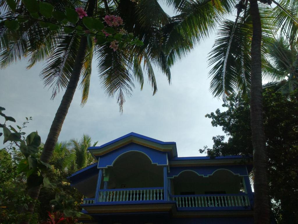 The Purple House photo