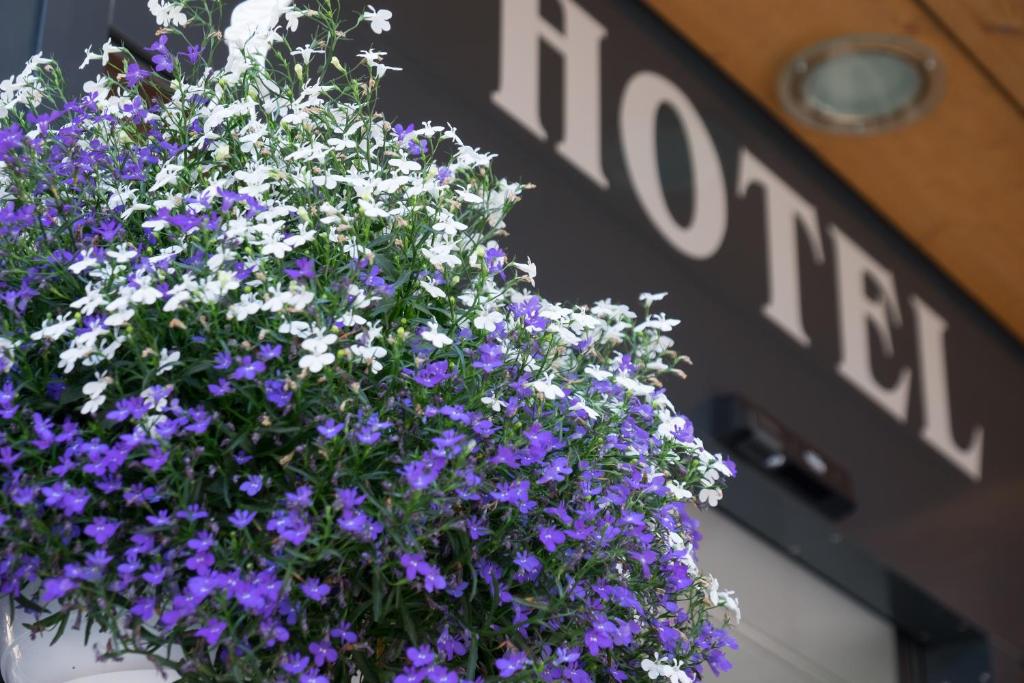 Hotel Hirschen - Grindelwald - 3