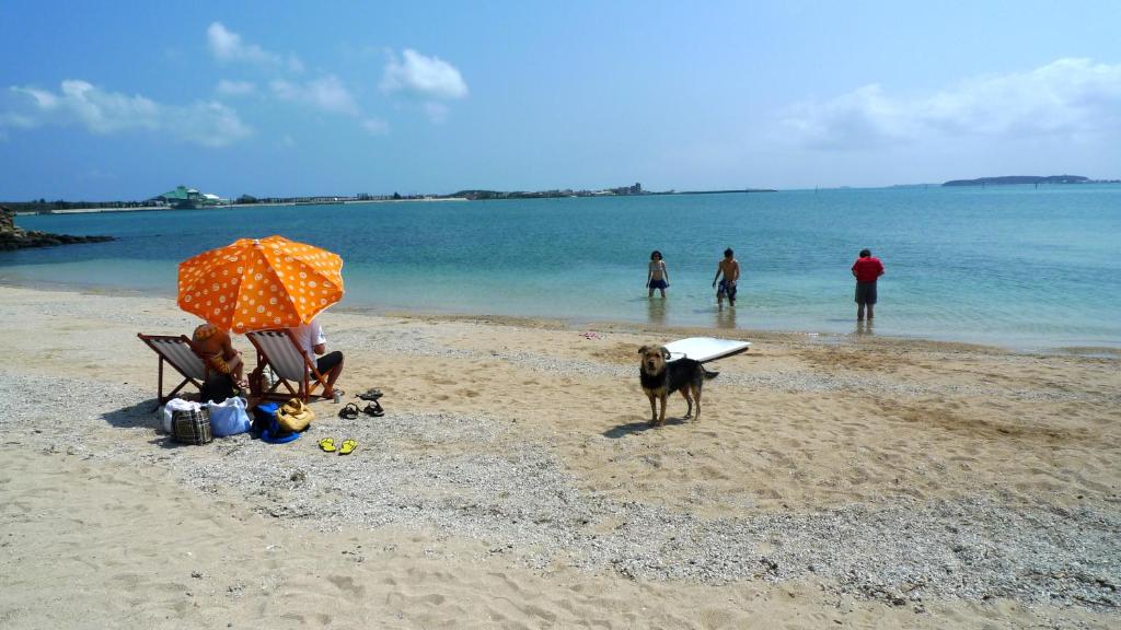 베이 오브 첸 하이-펑 후 홈스테이 정원