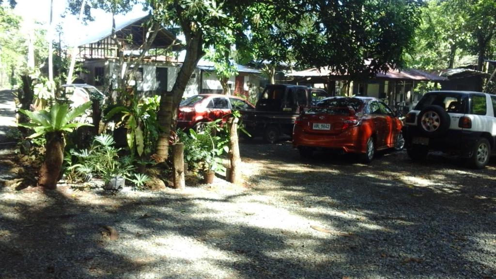Larmar bed and breakfast photo