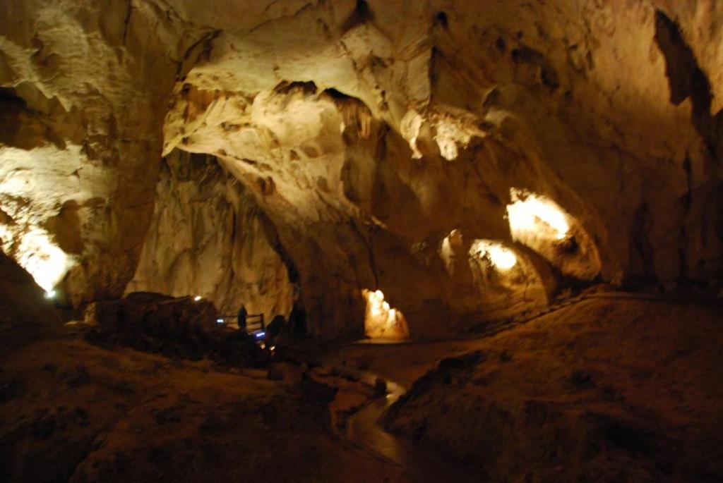 Surrounding environment