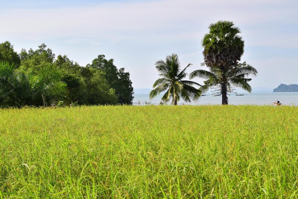 Surrounding environment