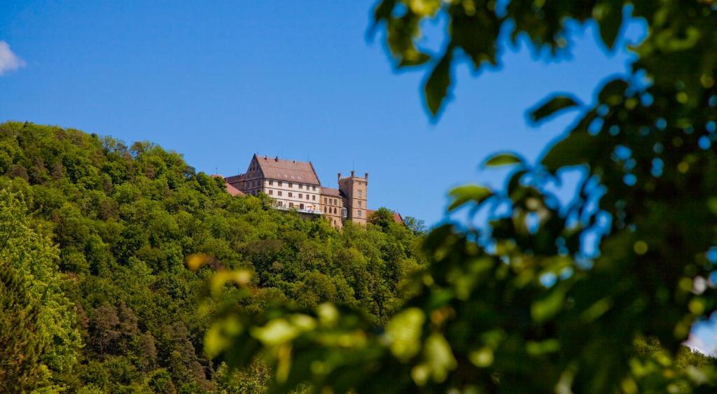 Schloss Weitenburg photo