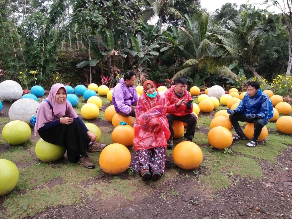 Homestay Lidiya