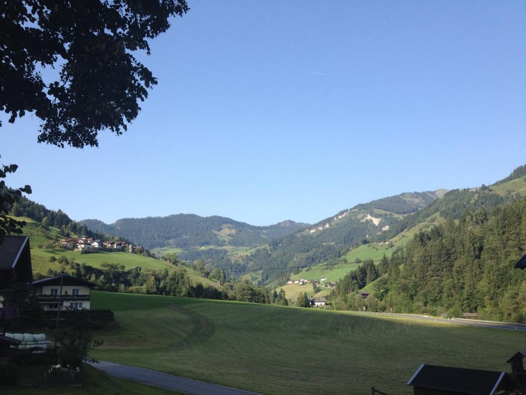 Chalet Schiederhof - 5