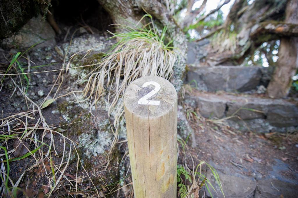 スポーツ/アクティビティ