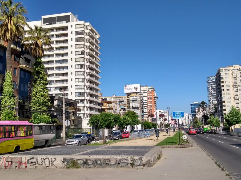 Bello Departamento Viña - 2