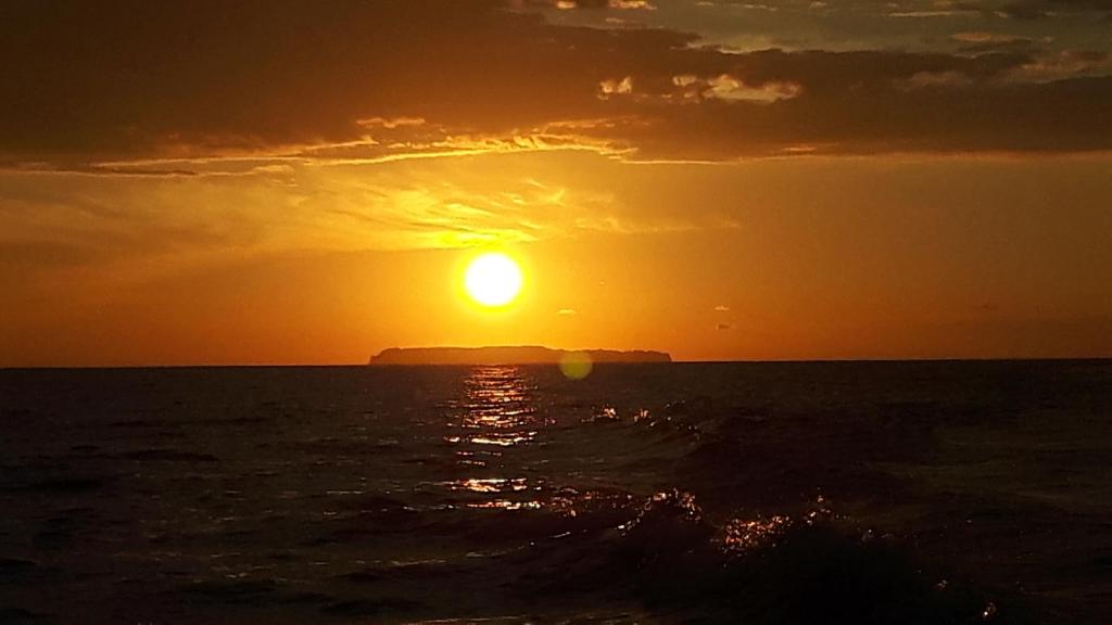 Surrounding environment, Casita happy feet and tours corcovado in Drake Bay