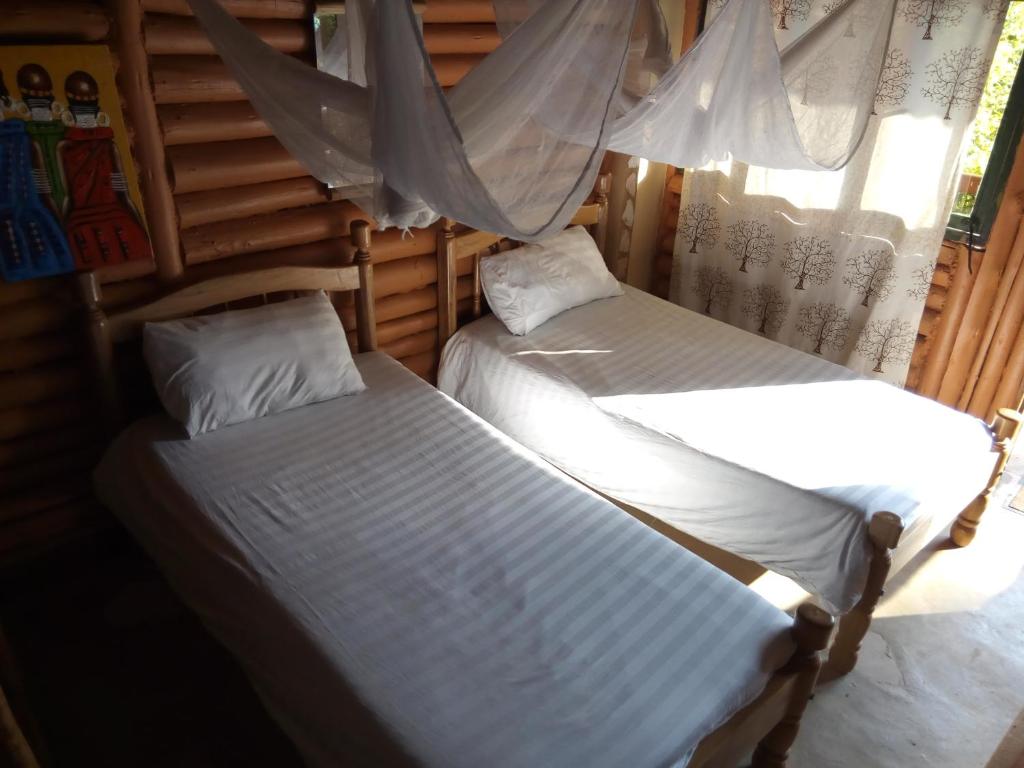Bwindi Forest Lodge photo