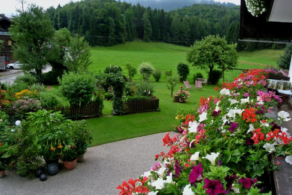 Treindlhof - 5