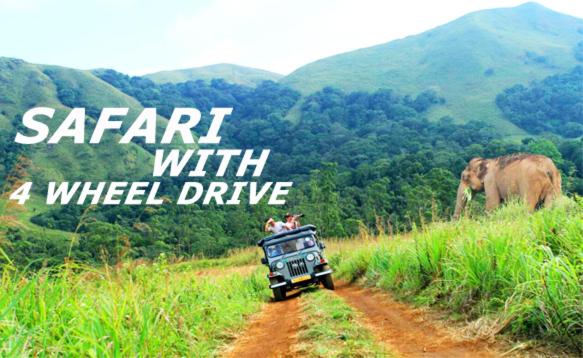 Cassells Jungle Resorts Thekkady photo