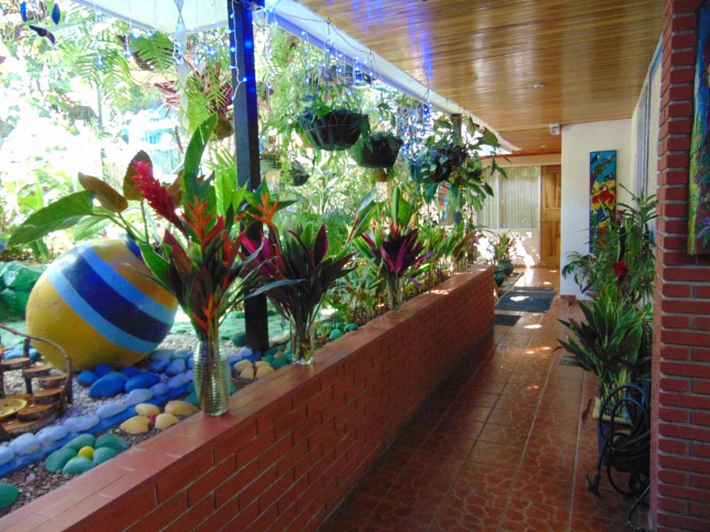 Facilities, CASA LIMA BED & BREAKFAST in San Jose