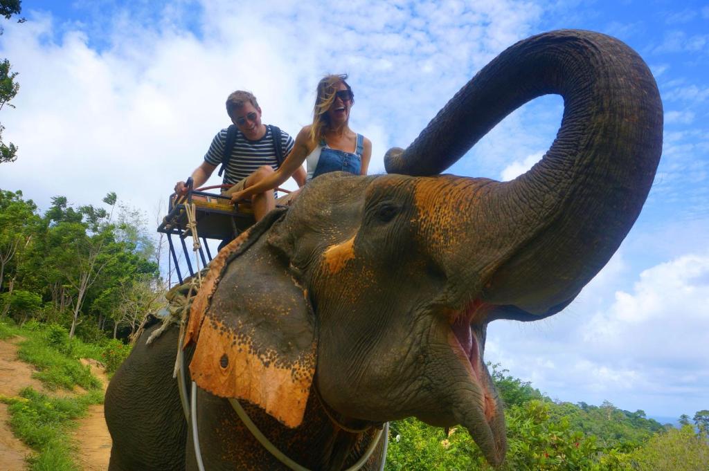 Sports and activities