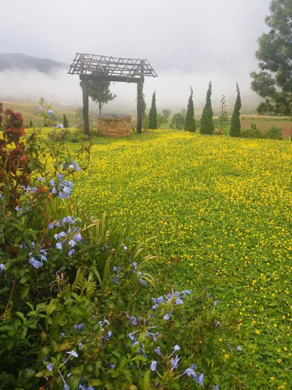Baan Ing Phu บ้านอิงภู — Hotel in Khao Kho