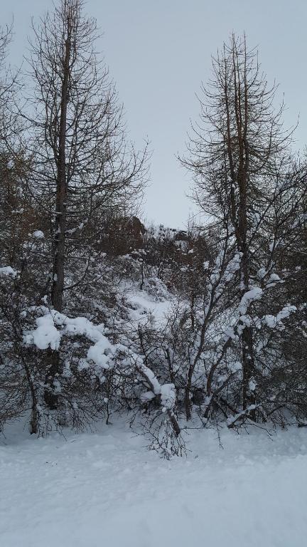 Surrounding environment