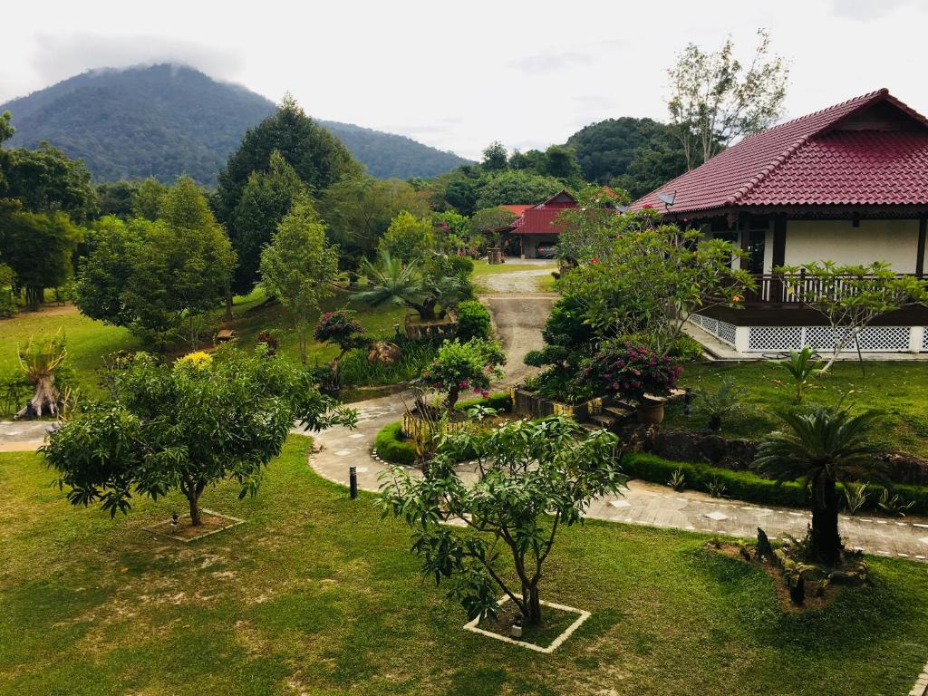 Villa paddy langkawi