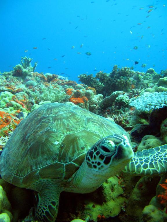 Sports and activities