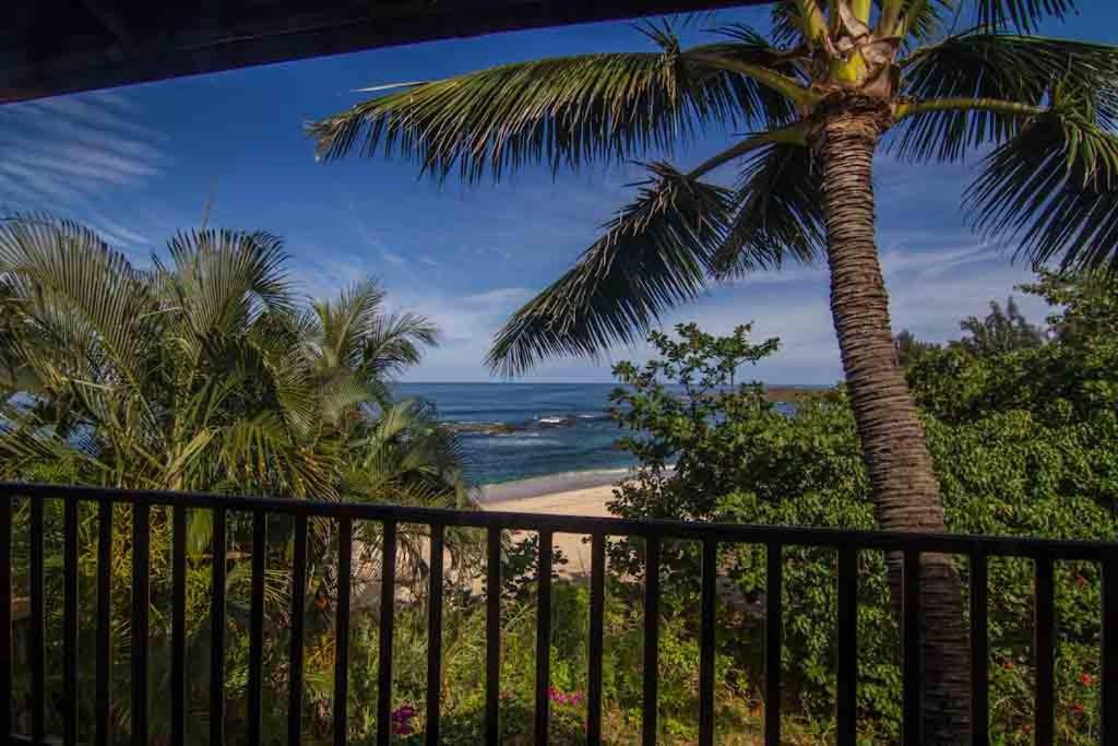 Backpackers Vacation Inn and Plantation Village photo