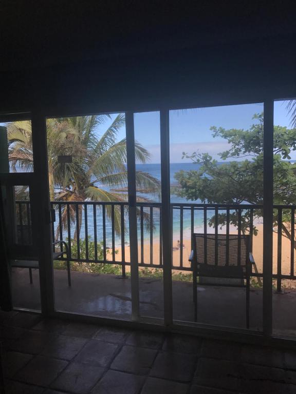 Backpackers Vacation Inn and Plantation Village photo