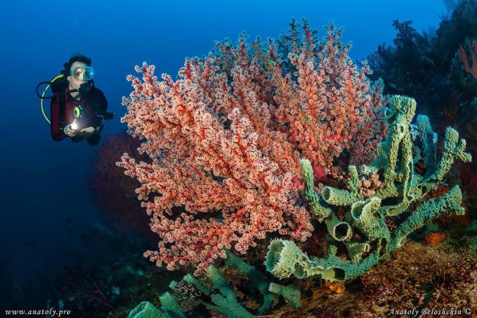 Sports and activities