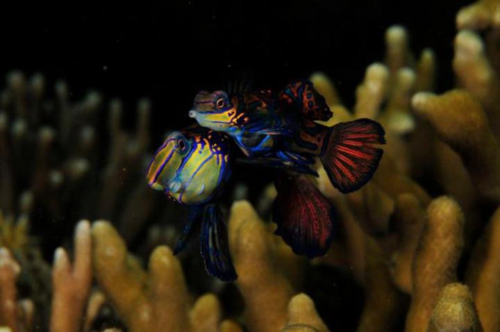 Sports and activities