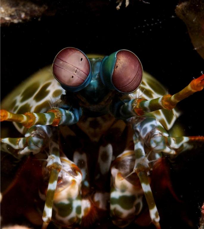 Sports and activities