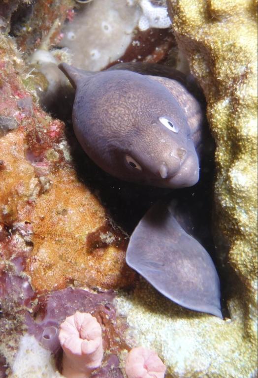 Sports and activities