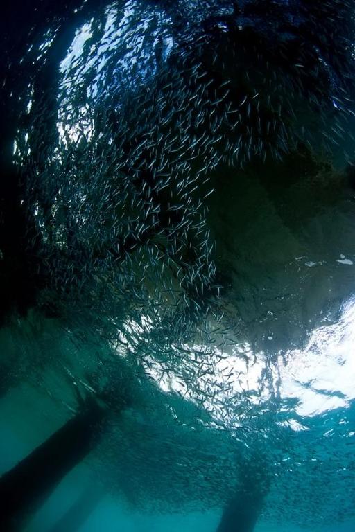 Sports and activities