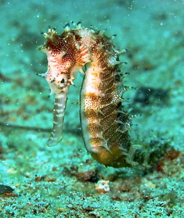 Sports and activities