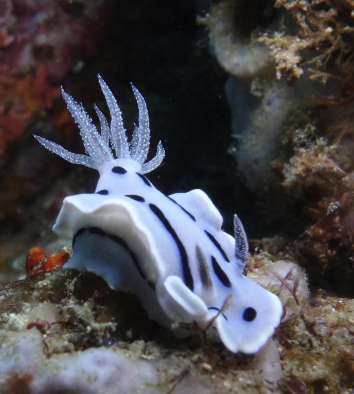 Sport és szabadidő