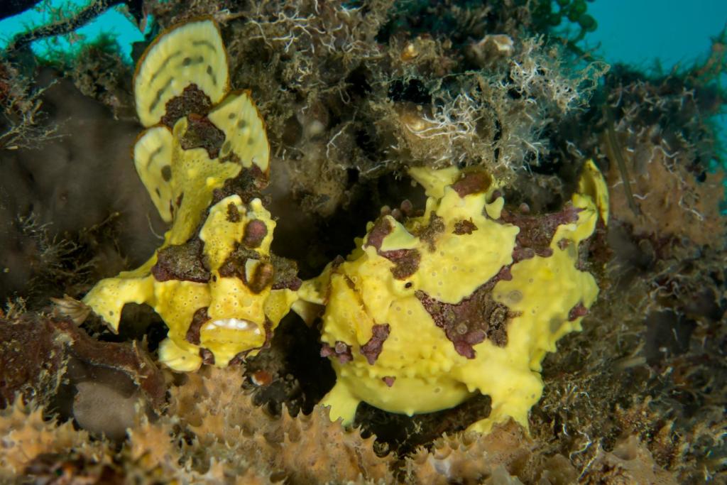 Sport és szabadidő