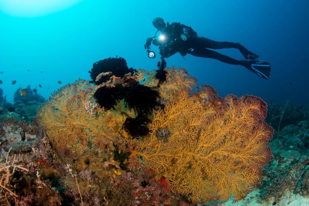 Sports and activities