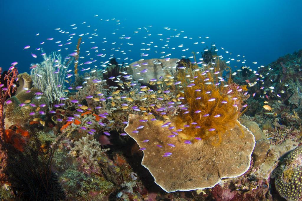 Sport és szabadidő