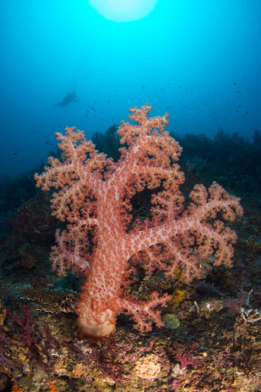 Sports and activities