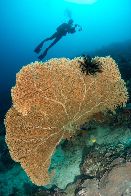 Sports and activities