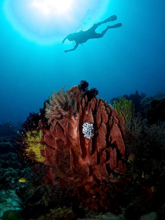 Sport és szabadidő